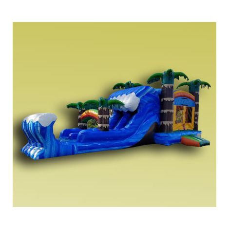 4 in 1 Dual Lane Tropical Jumper in San Diego
