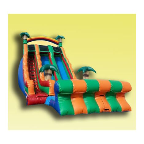 Double Lane Tropical Dry Slide Jumper for rent in San Diego