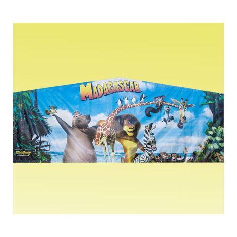 Madagascar Module Art Banner in San Diego
