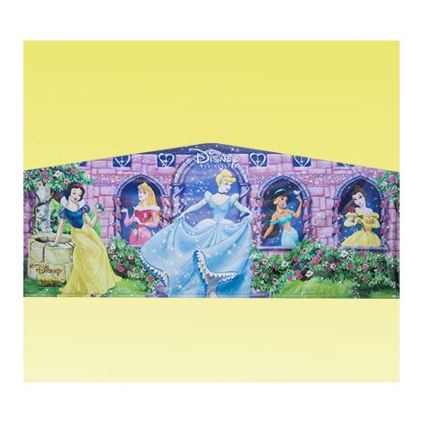 Princess Module Art Banner in San Diego
